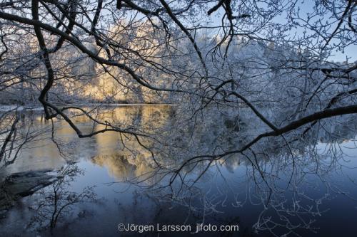 Botkyrka Sodermanland Sweden  cold  branches ice lake