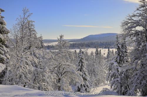 Winter Harjedalen Sweden  cold snow