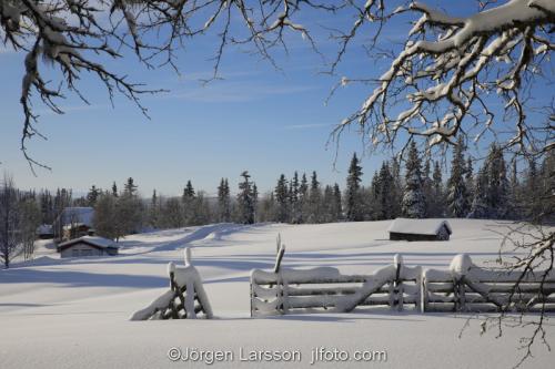 Härjedalen vinter Sverige  Fäbod kyla snö