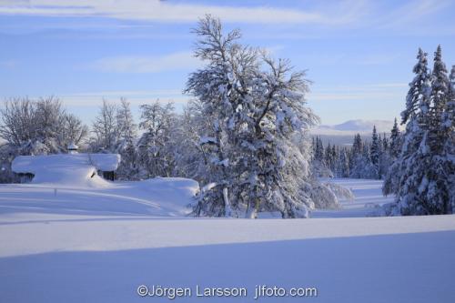 Winter Harjedalen Sweden  cold snow