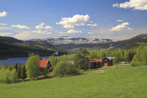 Swedish landscapes