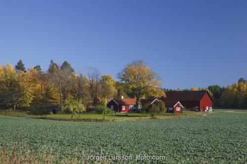 Grodinge Sodermanland Sweden  field acer Hous 