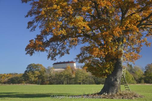 Horningsholm castle oak field Morko Sodermanland Sweden 