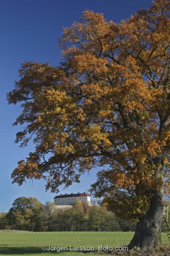 Horningsholm castle oak field Morko Sodermanland Sweden 