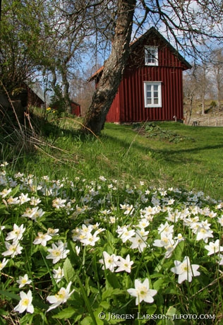 Stensjo by Smaöand