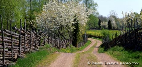 Bråbygden, Småland