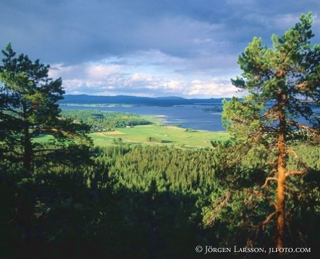 Dellen lakes Halsingland Sweden