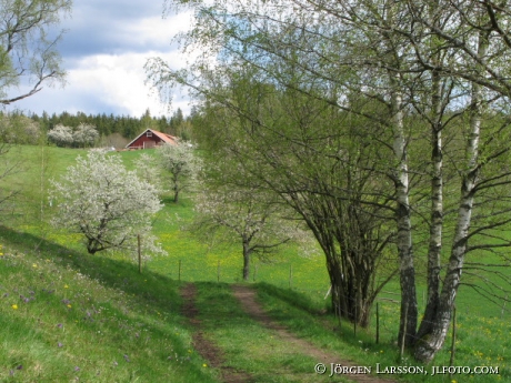 Djursdala Smaland Sweden