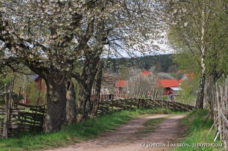 Djursdala Smaland Sweden