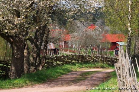 Djursdala Smaland Sweden