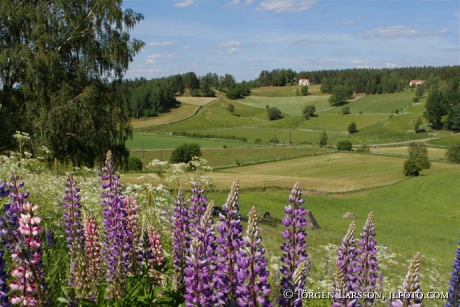 Djursdala Smaland Sweden