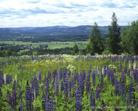 Siljansnas Dalarna Sweden