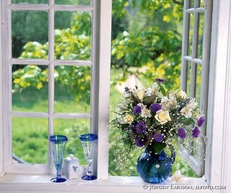 Window Flowers