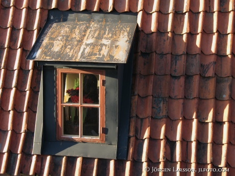 Window roof