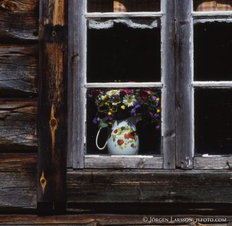 Mixed flowers Cottage