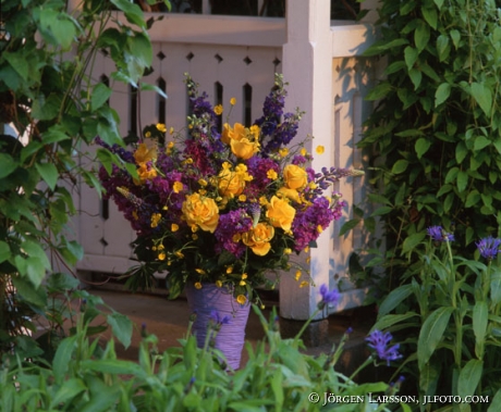 mixed flowers