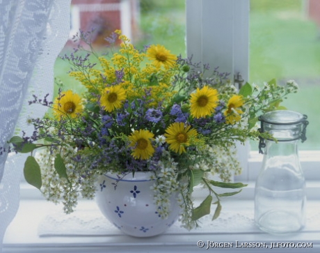 Yellow flowers window