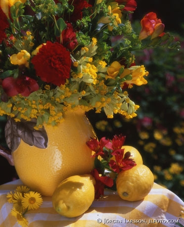 mixed flowers