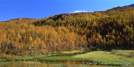 Riksgeransen Lappland Sweden