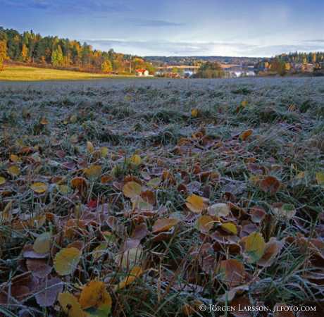 Vallinge Malaren Sodermanland Sweden