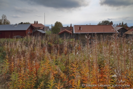 Autumnlandscape