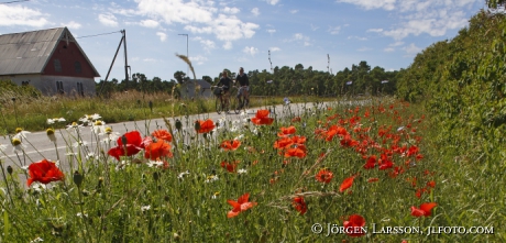 Summerflowers Road