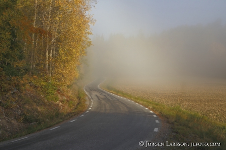 Winding road