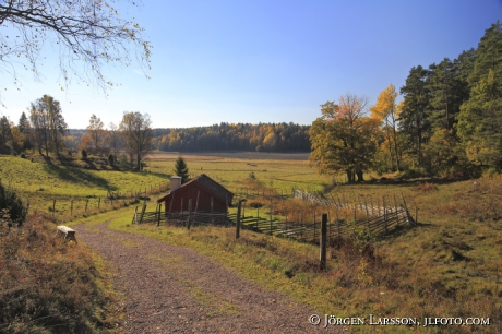 Autumnlandscape