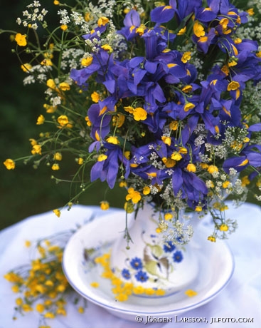 mixed flowers