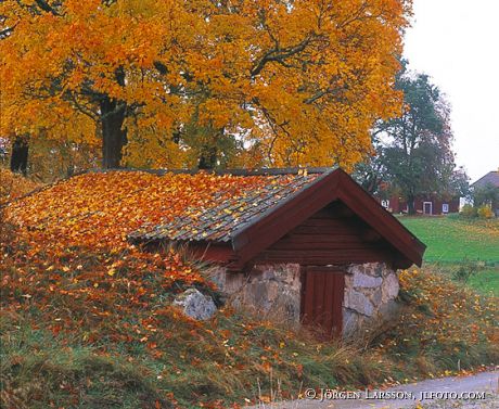 Regna Ostergotland Sweden