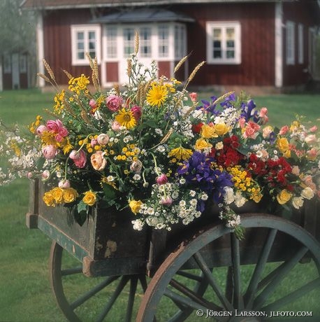 Flowers on Carriage