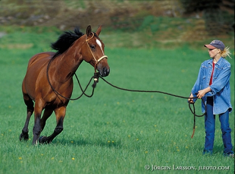 Girl with Horse