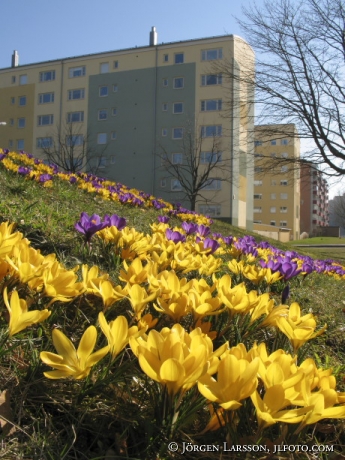 Hallunda Botkyrka Sweden