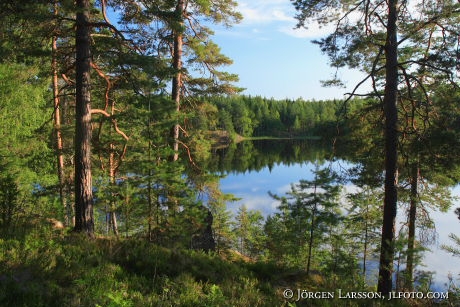 Lake Ostergotland Sweden