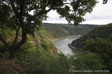 Loreley Rhen Tyskland