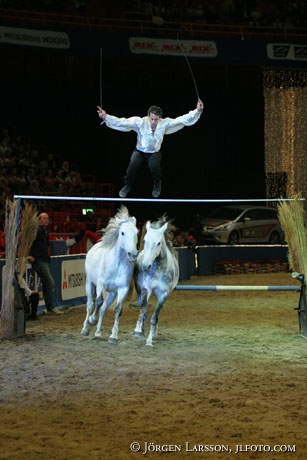 Lorenzo with Lusitanohorses Globen 05