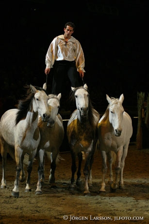 Lorenzo with Lusitanohorses Globen 05