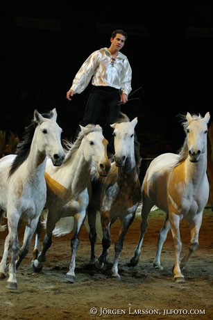 Lorenzo with Lusitanohorses Globen 05