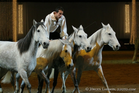 Lorenzo with Lusitanohorses Globen 05