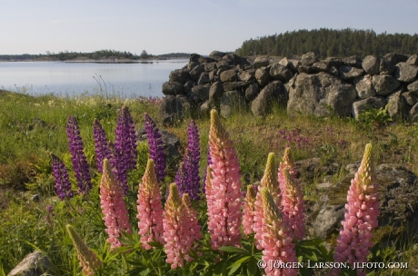 Navelso Smaland Sweden