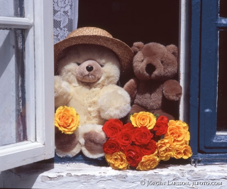 Roses teddy