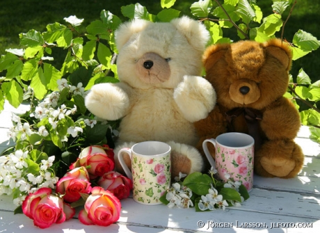 Teddy flowers