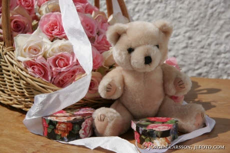 Teddy with Roses