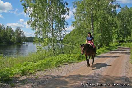 Rider at lake Flaten Ostergotland Sweden