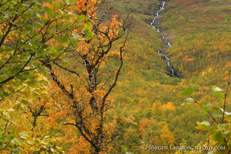 Waterfall Abisko nat park Sweden