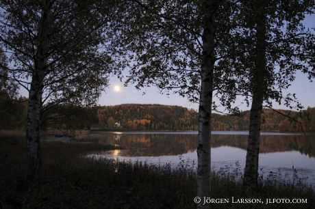 Moonlight Nordingra Sweden