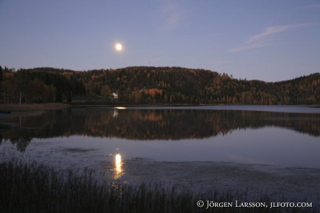 Moonlight Nordingra Sweden