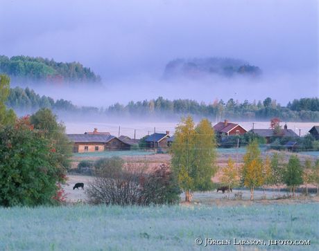 Orsa Dalarna Sweden