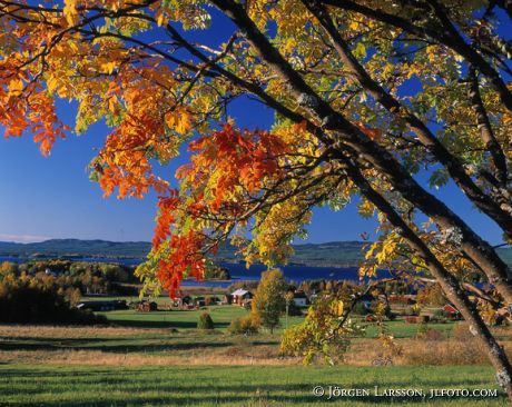 Orsa Dalarna Sweden