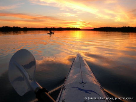 Canoe dawn Smaland Sweden